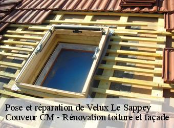 Pose et réparation de Velux le-sappey-74350 Couveur CM - Rénovation toiture et façade