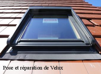 Pose et réparation de Velux