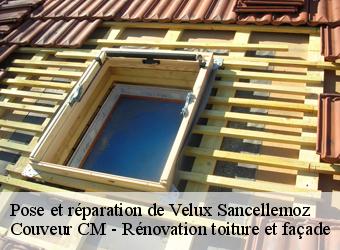 Pose et réparation de Velux sancellemoz-74480 Couveur CM - Rénovation toiture et façade