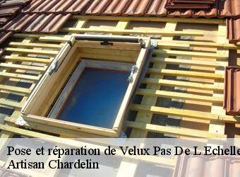 Pose et réparation de Velux pas-de-l-echelle-74100 Artisan Chardelin