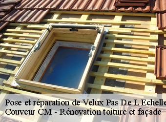 Pose et réparation de Velux pas-de-l-echelle-74100 Couveur CM - Rénovation toiture et façade