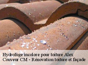 Hydrofuge incolore pour toiture alex-74290 Couveur CM - Rénovation toiture et façade