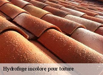 Hydrofuge incolore pour toiture