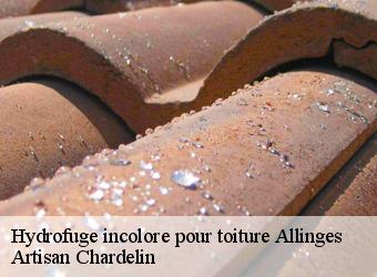 Hydrofuge incolore pour toiture  allinges-74200 Artisan Chardelin