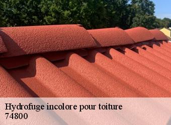 Hydrofuge incolore pour toiture  74800