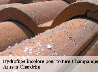 Hydrofuge incolore pour toiture  champanges-74500 Artisan Chardelin