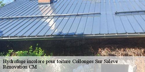 Hydrofuge incolore pour toiture collonges-sur-saleve-74160 Rénovation CM