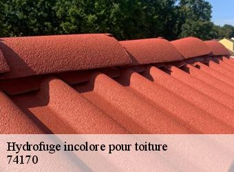 Hydrofuge incolore pour toiture  74170