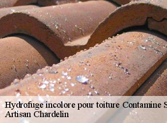 Hydrofuge incolore pour toiture  contamine-sarzin-74270 Artisan Chardelin