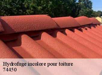 Hydrofuge incolore pour toiture  74450