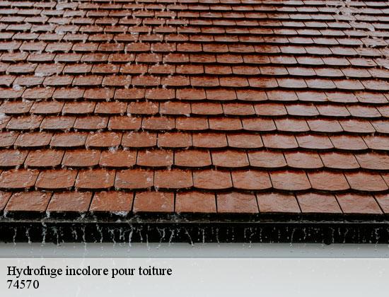 Hydrofuge incolore pour toiture groisy-74570 Rénovation CM