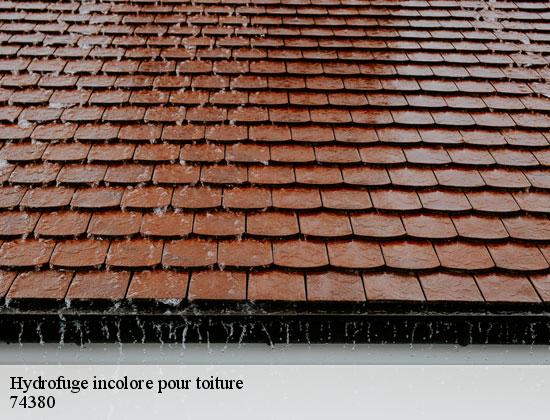 Hydrofuge incolore pour toiture loex-74380 Rénovation CM