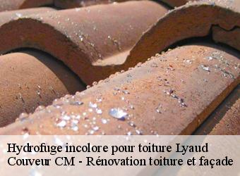 Hydrofuge incolore pour toiture  lyaud-74200 Couveur CM - Rénovation toiture et façade
