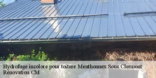 Hydrofuge incolore pour toiture menthonnex-sous-clermont-74270 Rénovation CM