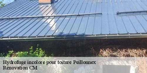 Hydrofuge incolore pour toiture peillonnex-74250 Rénovation CM