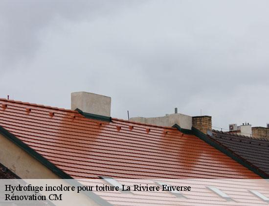 Hydrofuge incolore pour toiture la-riviere-enverse-74440 Rénovation CM