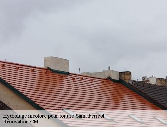 Hydrofuge incolore pour toiture saint-ferreol-74210 Rénovation CM