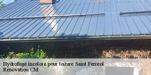 Hydrofuge incolore pour toiture saint-ferreol-74210 Rénovation CM