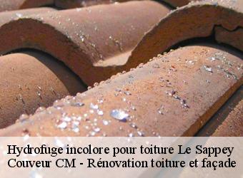 Hydrofuge incolore pour toiture le-sappey-74350 Couveur CM - Rénovation toiture et façade
