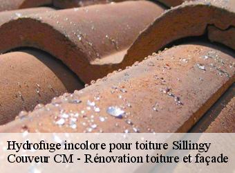 Hydrofuge incolore pour toiture sillingy-74330 Couveur CM - Rénovation toiture et façade
