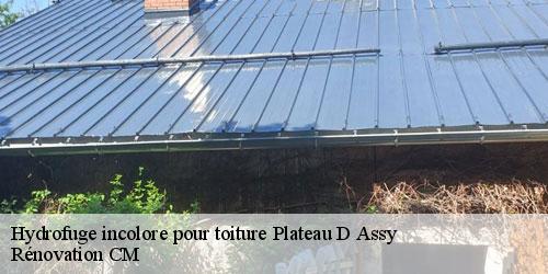 Hydrofuge incolore pour toiture plateau-d-assy-74480 Rénovation CM