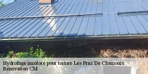 Hydrofuge incolore pour toiture les-praz-de-chamonix-74400 Rénovation CM