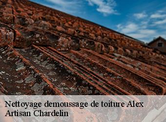 Nettoyage demoussage de toiture  alex-74290 Artisan Chardelin