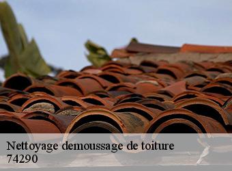 Nettoyage demoussage de toiture 74290
