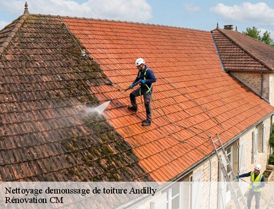Nettoyage demoussage de toiture andilly-74350 Rénovation CM