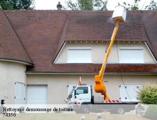 Nettoyage demoussage de toiture andilly-74350 Rénovation CM