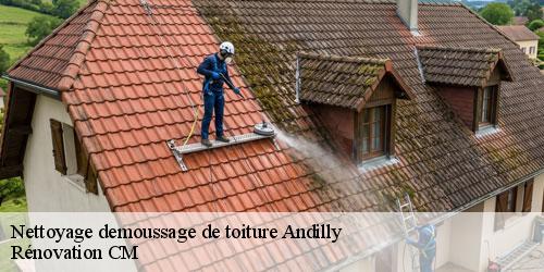 Nettoyage demoussage de toiture andilly-74350 Rénovation CM