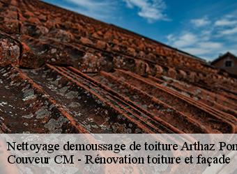 Nettoyage demoussage de toiture arthaz-pont-notre-dame-74380 Couveur CM - Rénovation toiture et façade