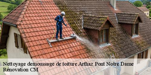 Nettoyage demoussage de toiture arthaz-pont-notre-dame-74380 Rénovation CM
