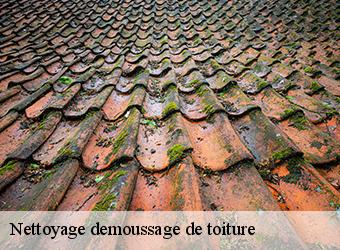 Nettoyage demoussage de toiture