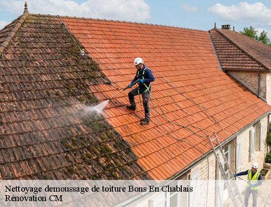 Nettoyage demoussage de toiture bons-en-chablais-74890 Rénovation CM