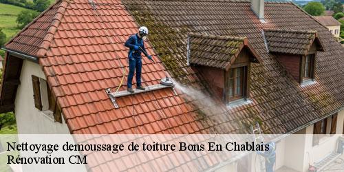 Nettoyage demoussage de toiture bons-en-chablais-74890 Rénovation CM