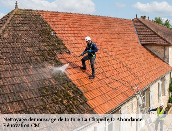 Nettoyage demoussage de toiture la-chapelle-d-abondance-74360 Rénovation CM