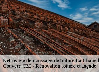 Nettoyage demoussage de toiture la-chapelle-saint-maurice-74410 Couveur CM - Rénovation toiture et façade