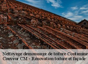 Nettoyage demoussage de toiture  contamine-sur-arve-74130 Couveur CM - Rénovation toiture et façade