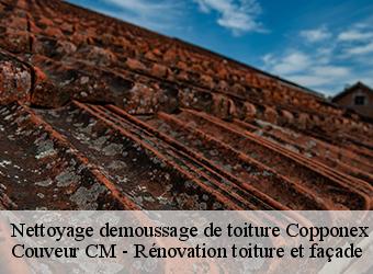 Nettoyage demoussage de toiture copponex-74350 Couveur CM - Rénovation toiture et façade