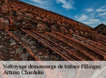 Nettoyage demoussage de toiture fillinges-74250 Artisan Chardelin