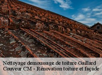 Nettoyage demoussage de toiture gaillard-74240 Couveur CM - Rénovation toiture et façade
