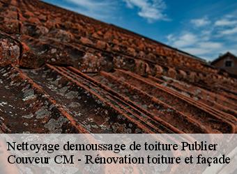 Nettoyage demoussage de toiture publier-74500 Couveur CM - Rénovation toiture et façade