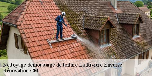 Nettoyage demoussage de toiture la-riviere-enverse-74440 Rénovation CM