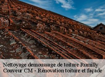 Nettoyage demoussage de toiture  rumilly-74150 Couveur CM - Rénovation toiture et façade