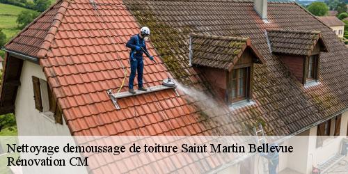 Nettoyage demoussage de toiture  saint-martin-bellevue-74370 Rénovation CM