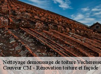 Nettoyage demoussage de toiture vacheresse-74360 Couveur CM - Rénovation toiture et façade