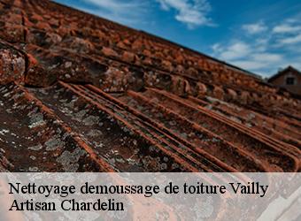 Nettoyage demoussage de toiture  vailly-74470 Artisan Chardelin