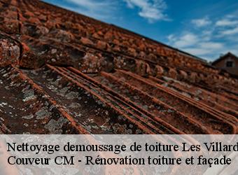 Nettoyage demoussage de toiture les-villards-sur-thones-74230 Couveur CM - Rénovation toiture et façade