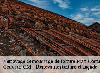 Nettoyage demoussage de toiture praz-coutant-74480 Couveur CM - Rénovation toiture et façade